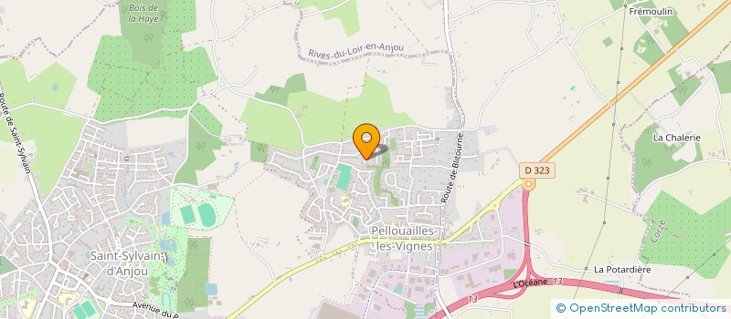 localisation de l'entreprise MONSIEUR DOMINIQUE THOMAS  VERRIERES-EN-ANJOU