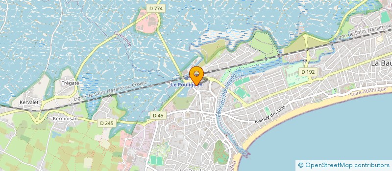 localisation de l'entreprise MONSIEUR DOMINIQUE TILLEUL à LE POULIGUEN