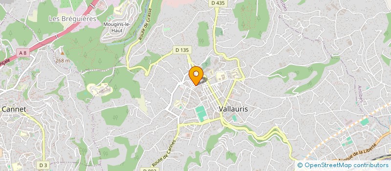 localisation de l'entreprise MONSIEUR DOMINIQUE TISSERAND à VALLAURIS