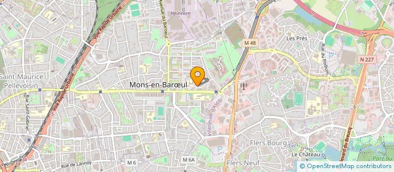 localisation de l'entreprise MONSIEUR DOMINIQUE TROUFLEAU à MONS-EN-BARŒUL