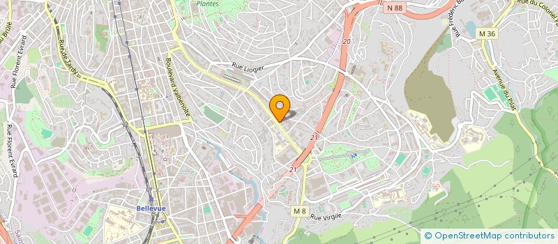 localisation de l'entreprise MONSIEUR DOMINIQUE VIALLON  SAINT-ETIENNE