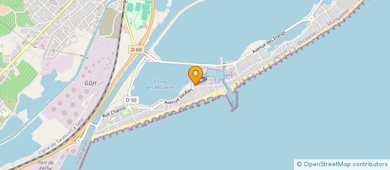 localisation de l'entreprise MONSIEUR DOMINIQUE VIDAL à FRONTIGNAN