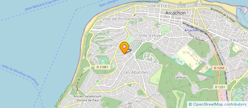 localisation de l'entreprise MONSIEUR DONAL O'DRISCOLL  ARCACHON