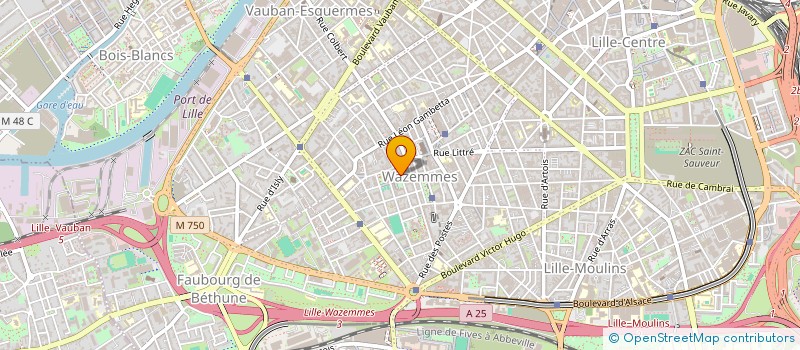 localisation de l'entreprise MONSIEUR DONALD HERBELIN à LILLE