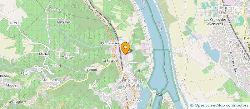 localisation de l'entreprise MONSIEUR DONI DOS REIS  SAINT-PIERRE-DE-BUF