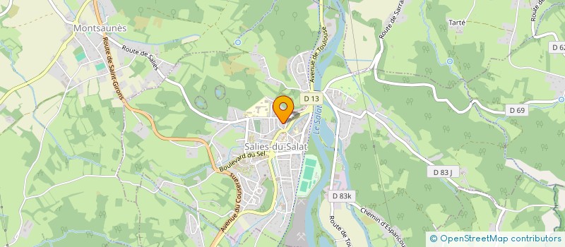 localisation de l'entreprise MONSIEUR DONIPHAN DUMAIRE  SALIES-DU-SALAT