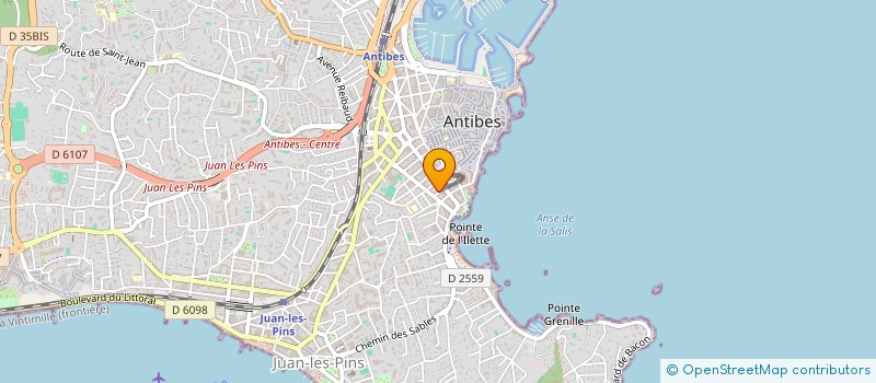 localisation de l'entreprise MONSIEUR DORDE NIKOLIC à ANTIBES
