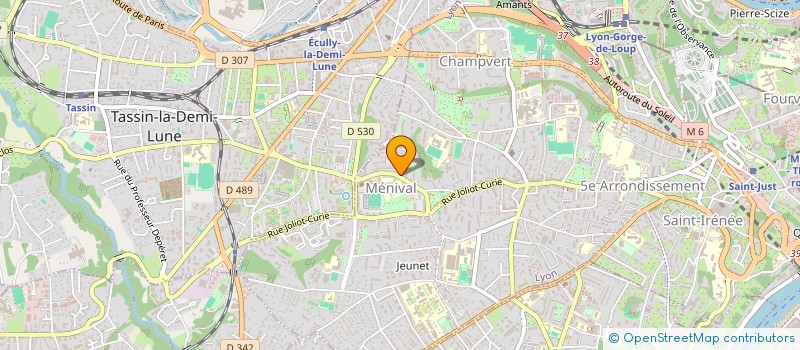 localisation de l'entreprise MONSIEUR DORIAN FEAUX à LYON