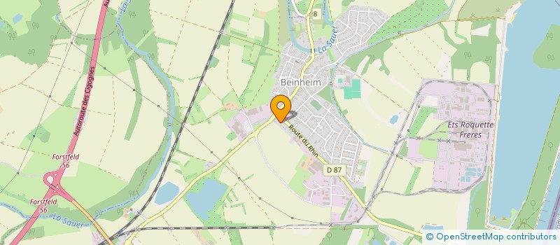 localisation de l'entreprise MONSIEUR DORIAN FERTIG  BEINHEIM