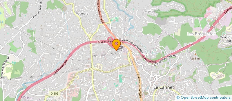 localisation de l'entreprise MONSIEUR DORIAN GUEMART  MOUGINS