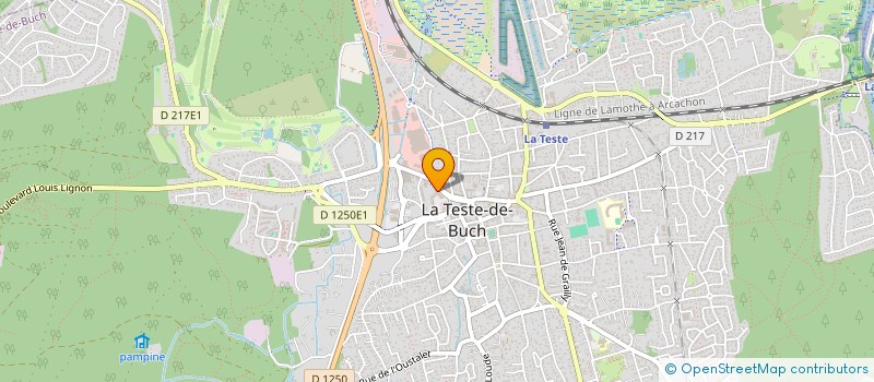 localisation de l'entreprise MONSIEUR DORIAN LESZCZYNSKI  LA TESTE-DE-BUCH