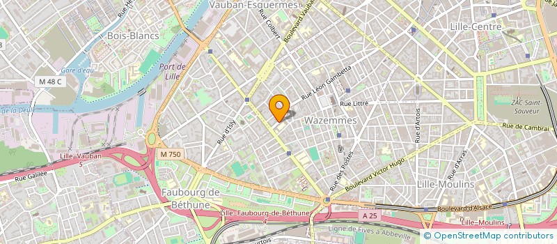 localisation de l'entreprise MONSIEUR DORIAN MARTIN à LILLE