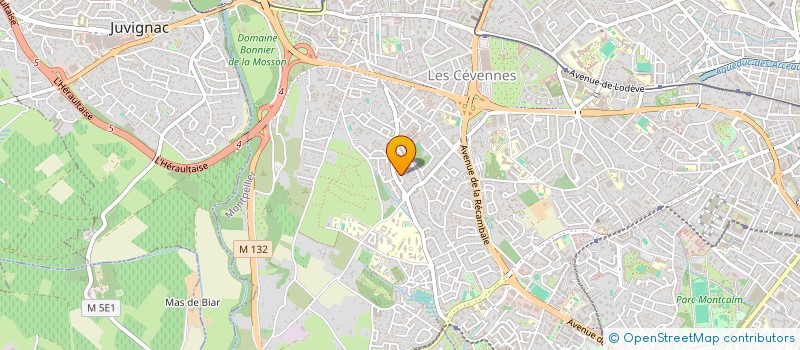 localisation de l'entreprise MONSIEUR DORIAN VIDAL à MONTPELLIER