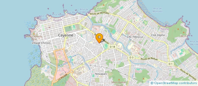 localisation de l'entreprise MONSIEUR DOUGLAS SANTOS DA SILVA  CAYENNE