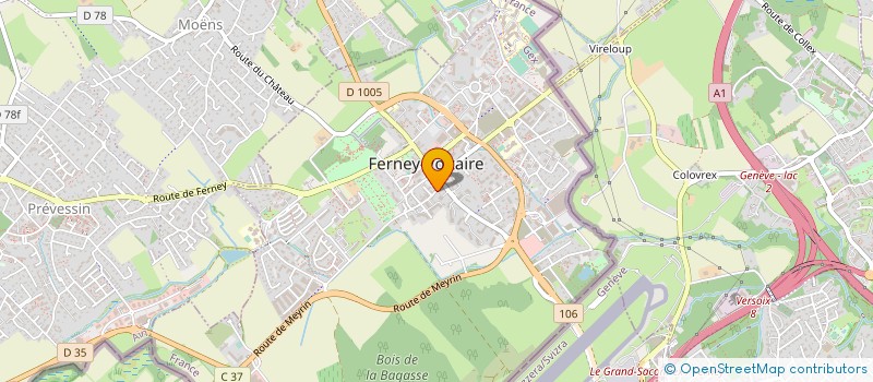 localisation de l'entreprise MONSIEUR DRAGOLJUB BERONJA à FERNEY-VOLTAIRE
