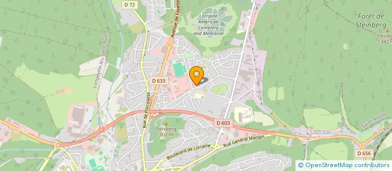 localisation de l'entreprise MONSIEUR DRAGUTIN MAJCEN  SAINT-AVOLD