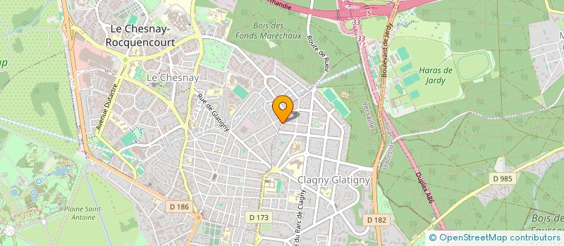 localisation de l'entreprise MONSIEUR DREMISSY NIMAGA  LE CHESNAY-ROCQUENCOURT