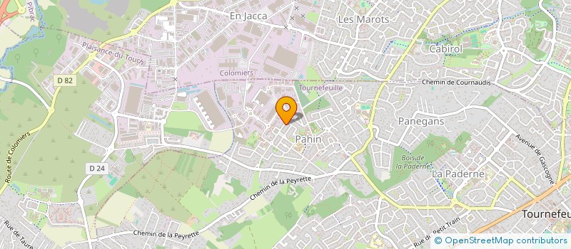 localisation de l'entreprise MONSIEUR DRISS BAHRI  TOURNEFEUILLE