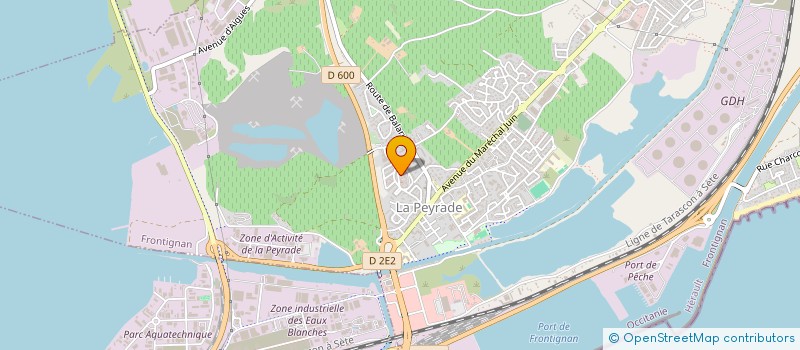 localisation de l'entreprise MONSIEUR DRISS BEN YEDIR à FRONTIGNAN