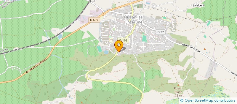 localisation de l'entreprise MONSIEUR DRISS BOUHOURIA  NISSAN-LEZ-ENSERUNE