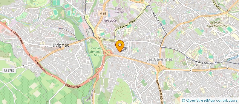 localisation de l'entreprise MONSIEUR DRISS RABOUZ à MONTPELLIER