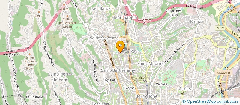 localisation de l'entreprise MONSIEUR DRISS RENARD à NICE