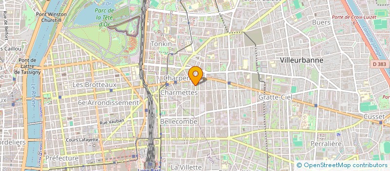 localisation de l'entreprise MONSIEUR DRISS SMAHI  VILLEURBANNE