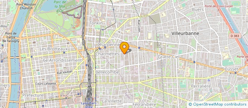 localisation de l'entreprise MONSIEUR DUC NGUYEN à VILLEURBANNE