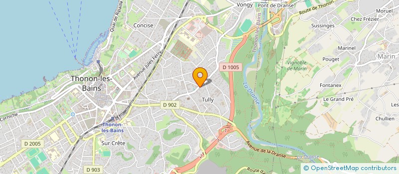 localisation de l'entreprise MONSIEUR DUMITRU BURCEA à THONON-LES-BAINS