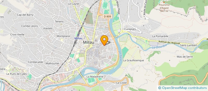 localisation de l'entreprise MONSIEUR DUMITRU BUZNEA à MILLAU