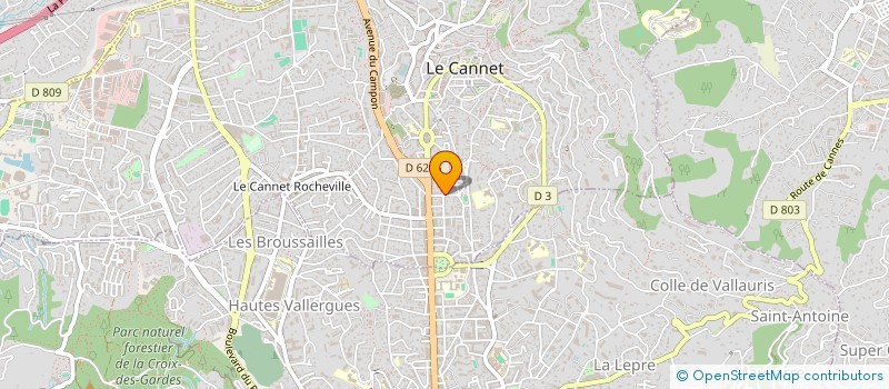 localisation de l'entreprise MONSIEUR DUMITRU CEAPA à LE CANNET