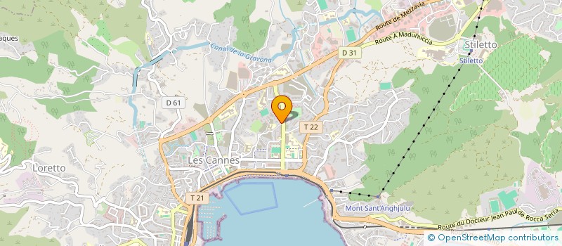 localisation de l'entreprise MONSIEUR DUMITRU DZITAC  AJACCIO