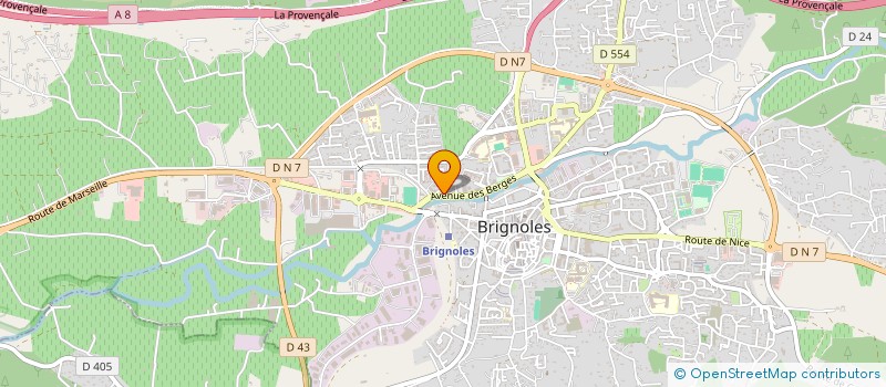 localisation de l'entreprise MONSIEUR DUMITRU-LUCIAN ION à BRIGNOLES