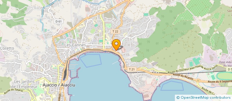 localisation de l'entreprise MONSIEUR DUMITRU SION à AJACCIO