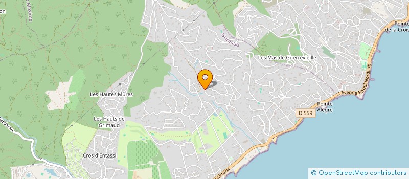 localisation de l'entreprise MONSIEUR DUNCAN SHAKESHAFT  GRIMAUD