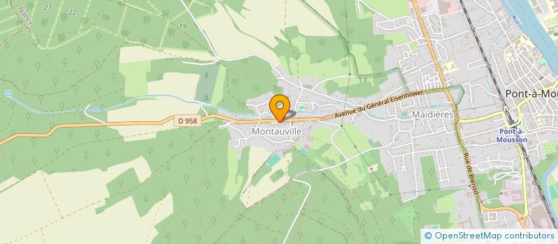 localisation de l'entreprise MONSIEUR DUSAN JOVANOVIC  MONTAUVILLE