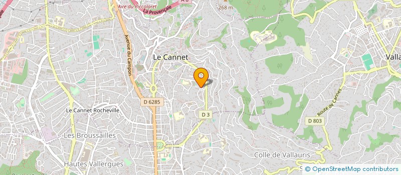 localisation de l'entreprise MONSIEUR DUSTIN LESCOMBES à LE CANNET
