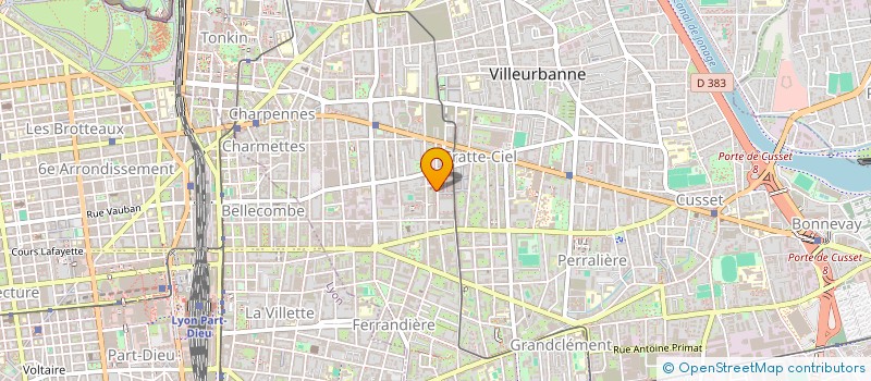 localisation de l'entreprise MONSIEUR DYLAN BASSAS  VILLEURBANNE