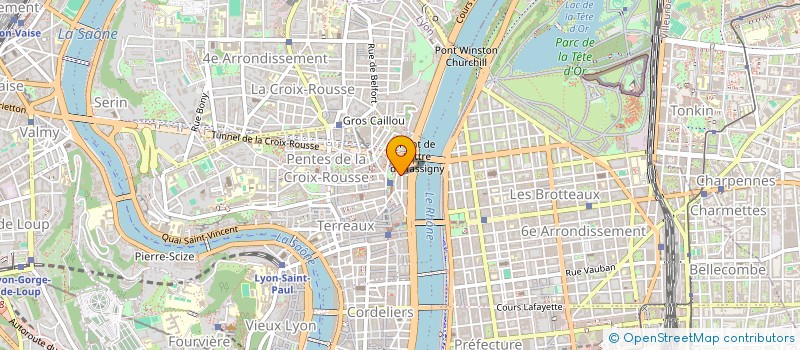 localisation de l'entreprise MONSIEUR DYLAN BESSON à LYON