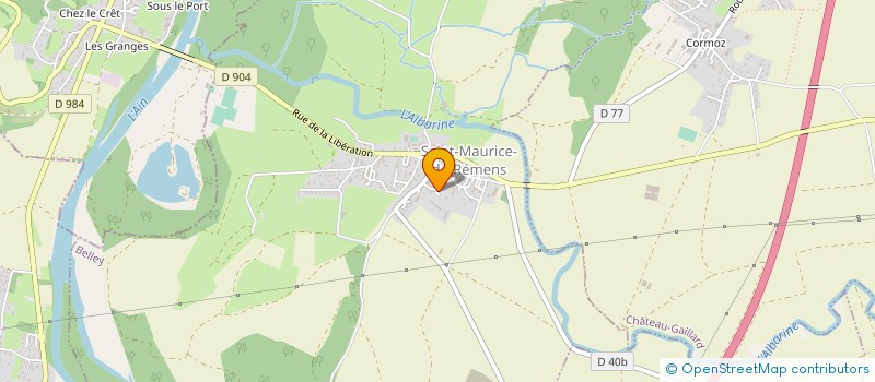 localisation de l'entreprise MONSIEUR DYLAN BLANCHIN  SAINT-MAURICE-DE-REMENS