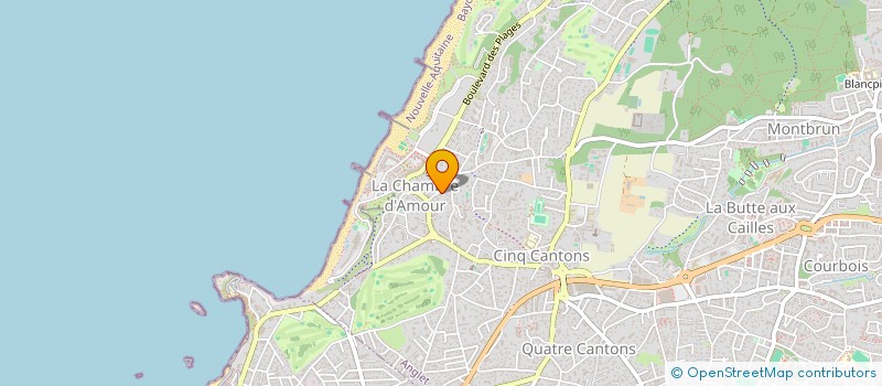 localisation de l'entreprise MONSIEUR DYLAN CAPRARA  ANGLET