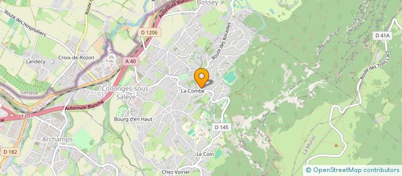 localisation de l'entreprise MONSIEUR DYLAN COOLS  COLLONGES-SOUS-SALEVE