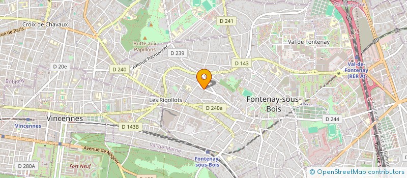 localisation de l'entreprise MONSIEUR DYLAN LEVY à FONTENAY-SOUS-BOIS