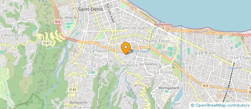 localisation de l'entreprise MONSIEUR DYLAN MOUTANIN  SAINT-DENIS