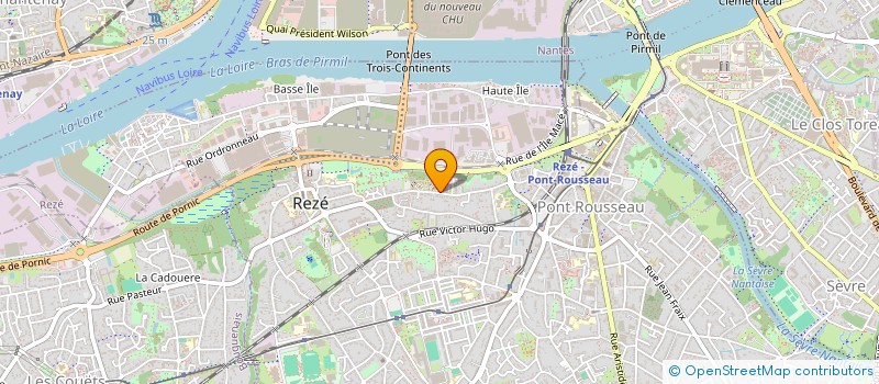 localisation de l'entreprise MONSIEUR DYLAN NICOLAS  REZE