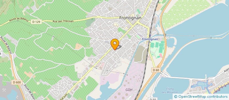 localisation de l'entreprise MONSIEUR DYLAN POLLET à FRONTIGNAN