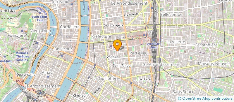 localisation de l'entreprise MONSIEUR DYLAN ROCHE  LYON