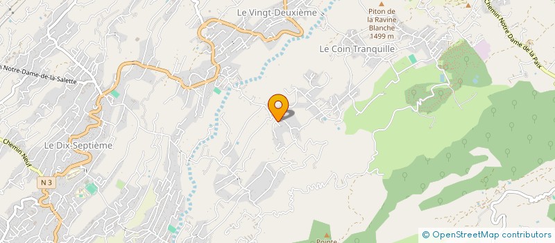 localisation de l'entreprise MONSIEUR DYLAN ROULLIN  LE TAMPON