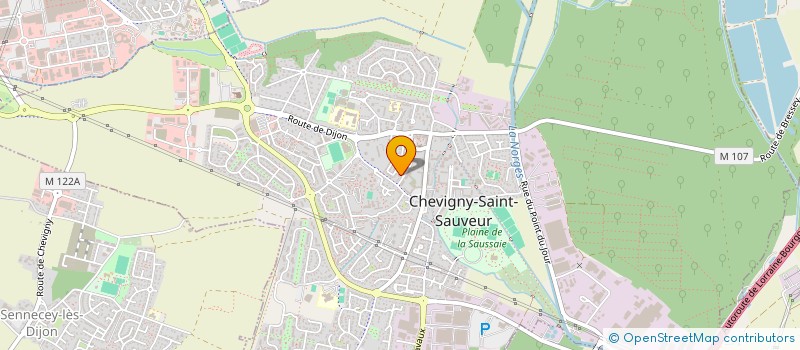 localisation de l'entreprise MONSIEUR DYLANE JAOUEN à CHEVIGNY-SAINT-SAUVEUR