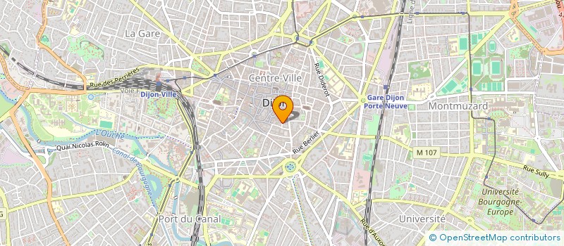 localisation de l'entreprise MONSIEUR DZEIMS MIEZIS  DIJON